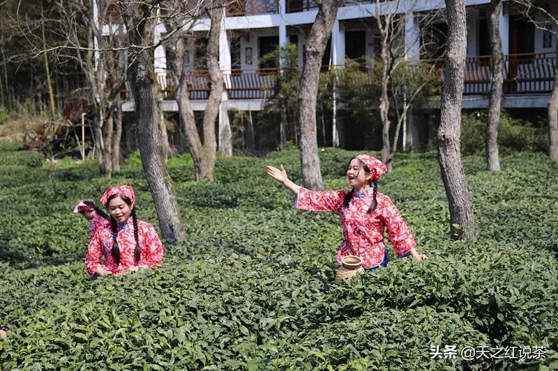 關于皇后直播探索獨特魅力小店的直播內容探討與下載指南