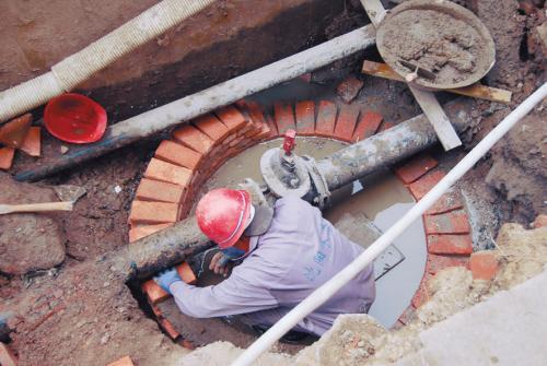 井新花園最新動態,深度探討發展與保護的交融之路