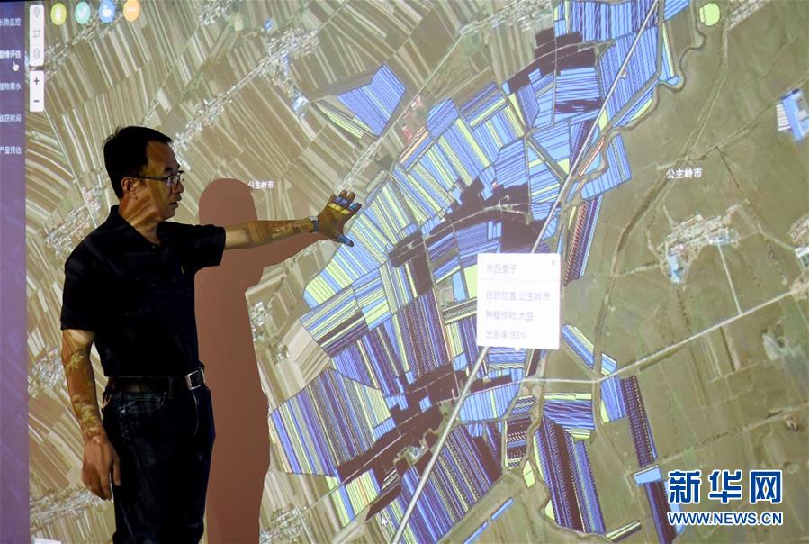 劉伯溫三肖八碼免費公開,深究數據應用策略_時刻版43.871