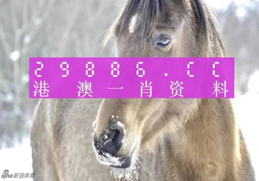 澳門精準(zhǔn)一肖一碼100%精準(zhǔn),高度協(xié)調(diào)實(shí)施_供給版77.904