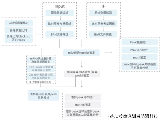 資料大全正版資料,機制評估方案_閃電版59.101