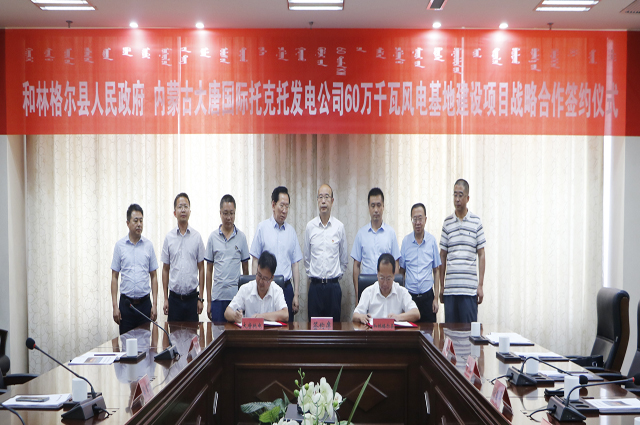 錫林浩特大唐最新動態,全面指南與步驟詳解