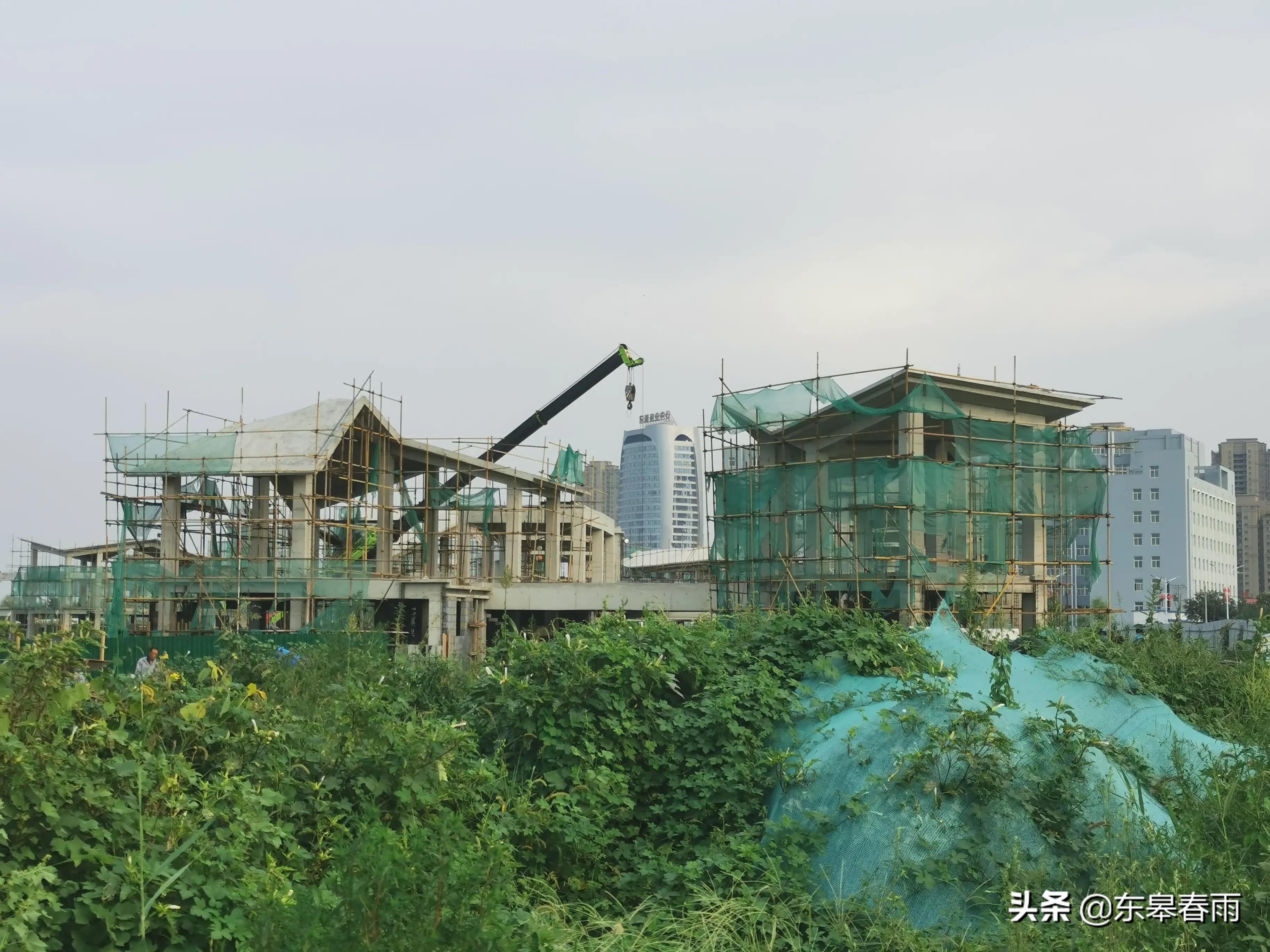 保定東湖一號最新動態與歡樂日常體驗