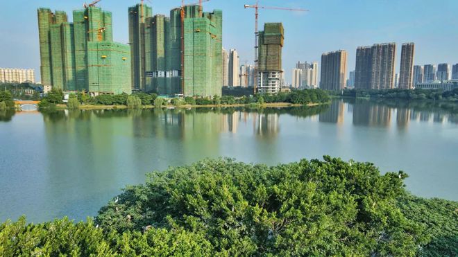 綠島湖一號最新動態,全方位解讀項目進展與挑戰