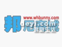 葫蘆島最新營業員招聘動態,背景分析與影響探討