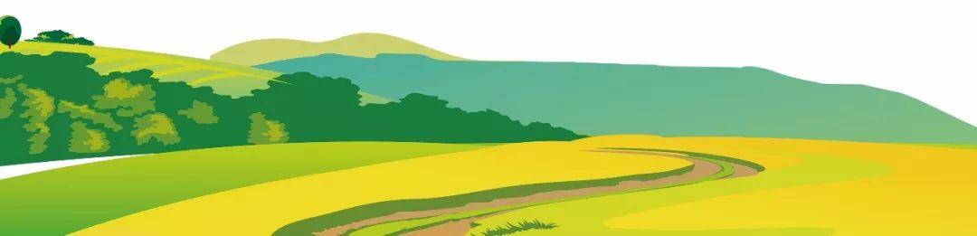 藍(lán)田縣未來藍(lán)圖,最新發(fā)展規(guī)劃揭秘