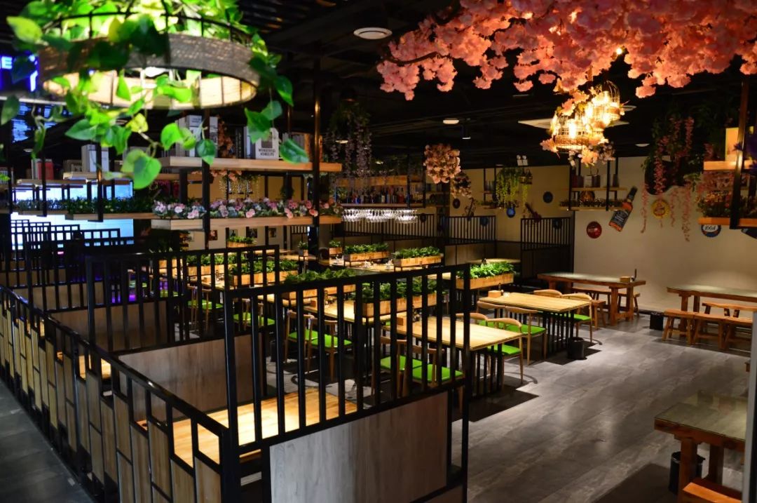 中餐廳最新一期音樂，熱門旋律與節目魅力的完美交融