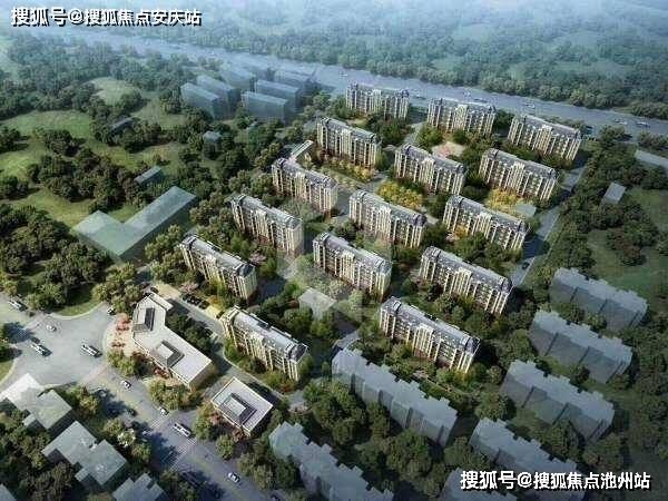 新浦塞納豪庭最新動態更新