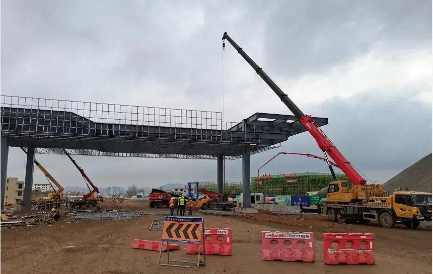 深度解析與探討，最新元龍劇情分析