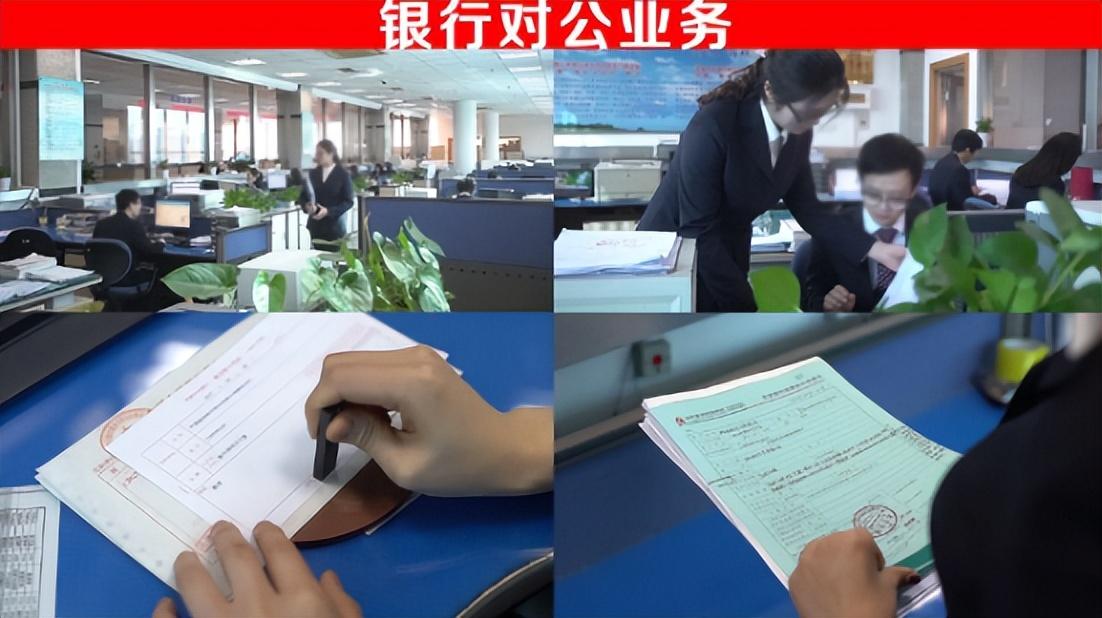 數你最新圖片,一張照片中的溫馨故事