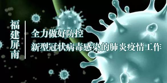 南平奇遇,與最新病毒的溫馨邂逅之旅