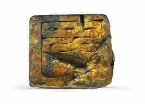 余厚蜀最新動態,科技前沿探索與行業創新引領