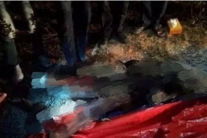 科技重塑真相,智能破解焚尸案迷局最新進展