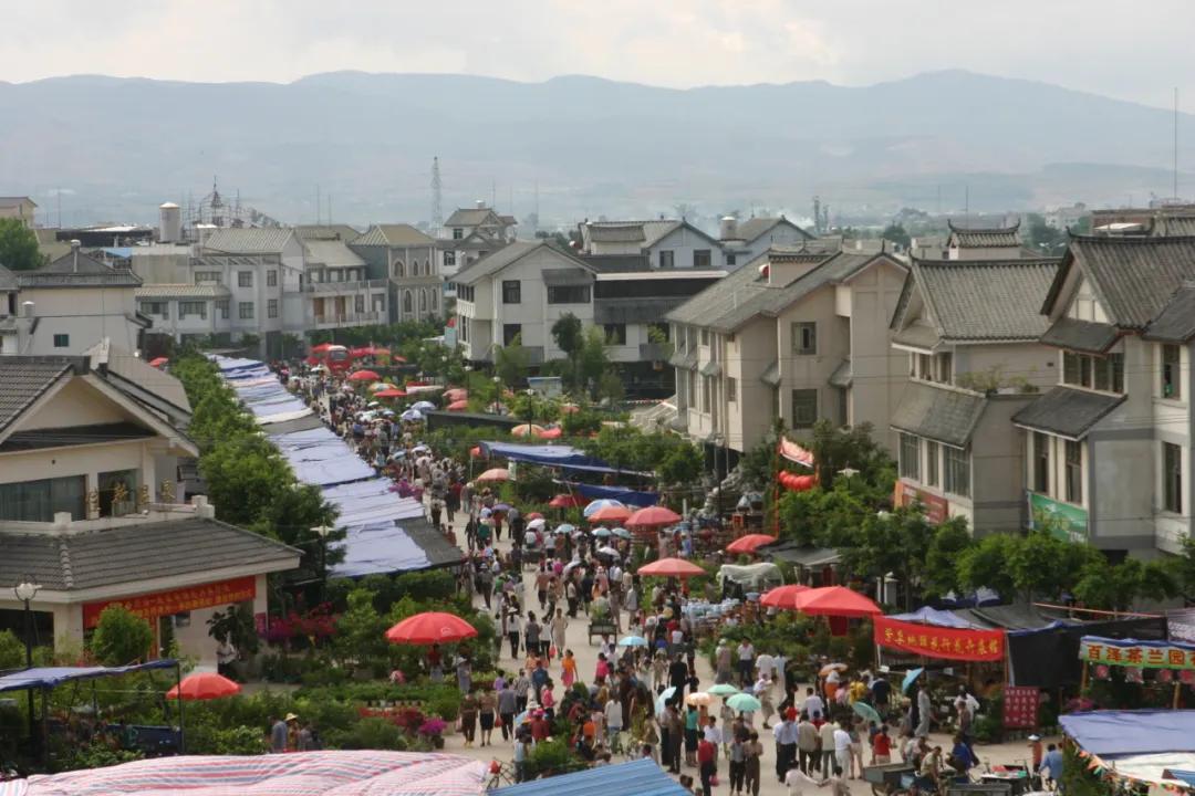 保山市,歷史背景、重大事件與時代地位的最新探析