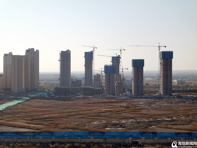 青島最新項目啟航新征程，自信成就夢想之路