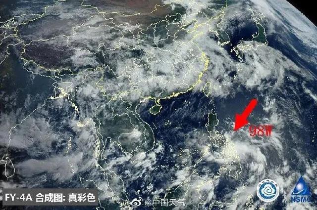 臺風(fēng)鸚鵡的最新動態(tài),逆風(fēng)翱翔的力量與學(xué)習(xí)魅力