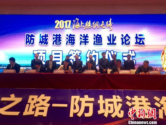 防誠港最新,防誠港的最新發展,機遇與挑戰并存