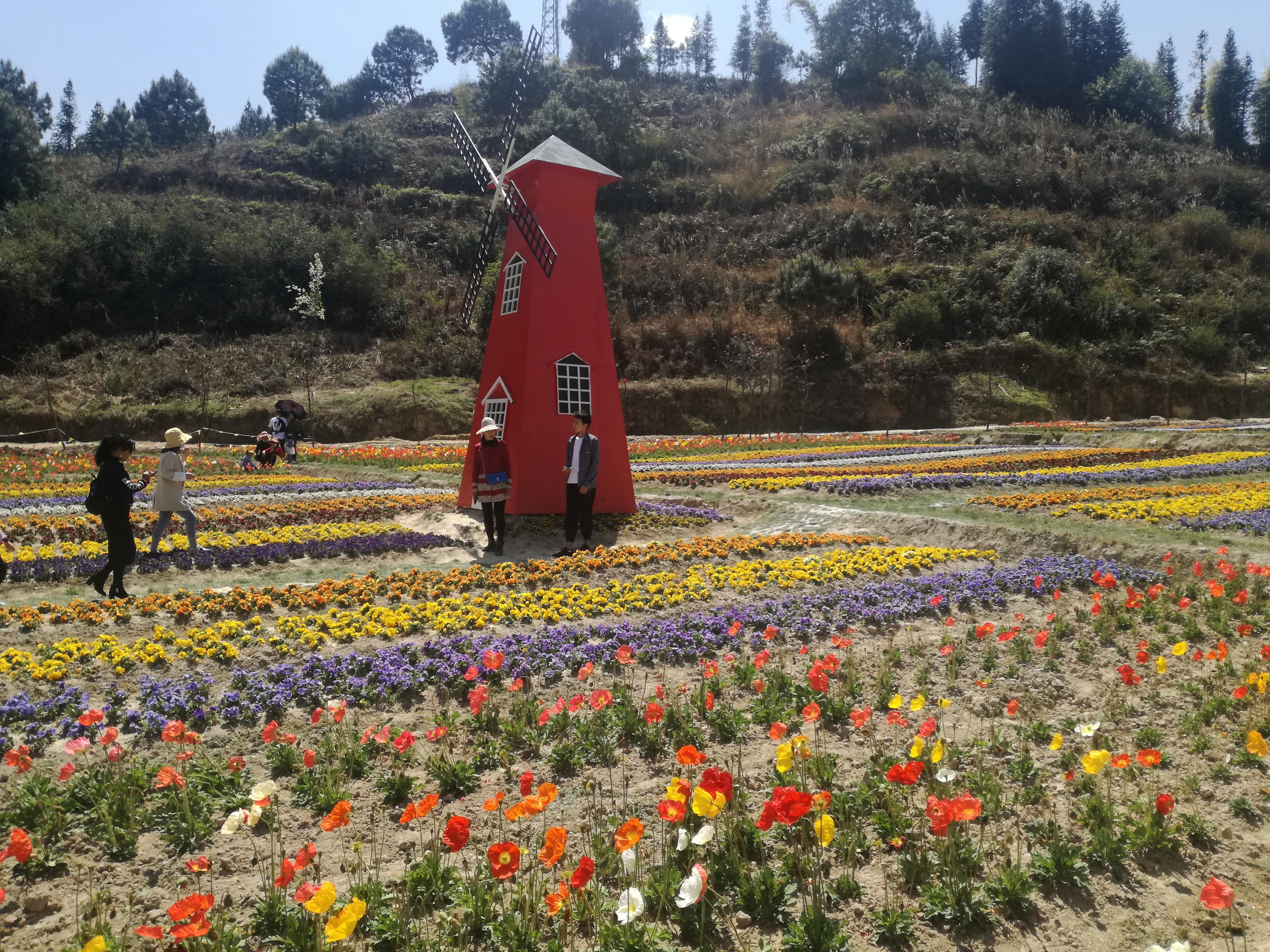 臨滄市最新探索，自然美景之旅，尋找內心平和的旅程