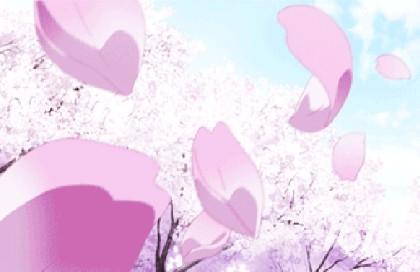 櫻花動(dòng)漫風(fēng)車(chē)動(dòng)漫,探索二次元世界的無(wú)限魅力