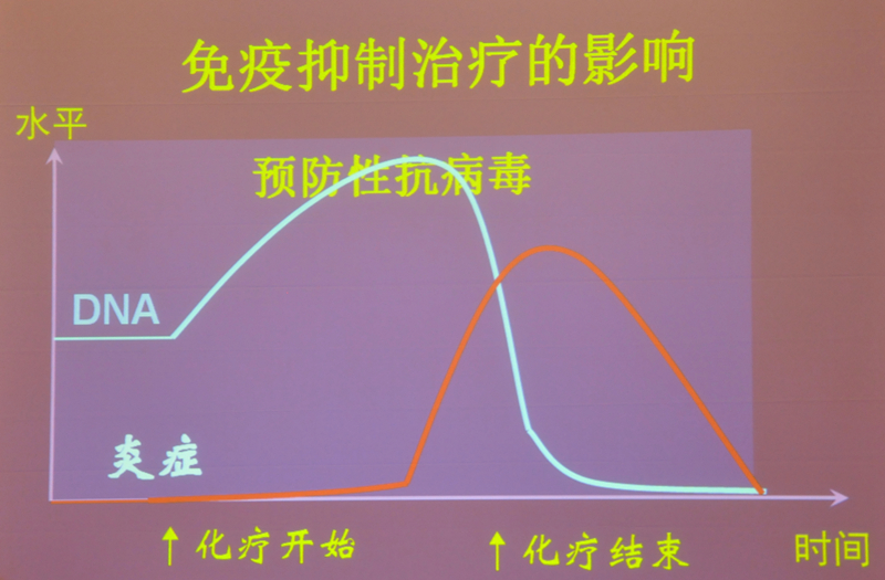 肝炎新進展揭秘，小巷深處的秘密小店探索