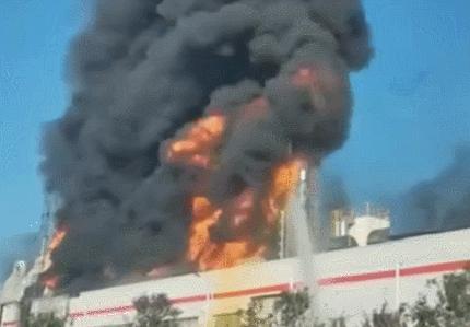 西安高陵最新動態(tài)探索自然美景,心靈寧靜之旅啟程