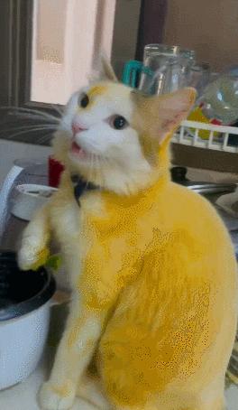 男友最新動態(tài),科技巔峰之作,引領未來生活新紀元風潮