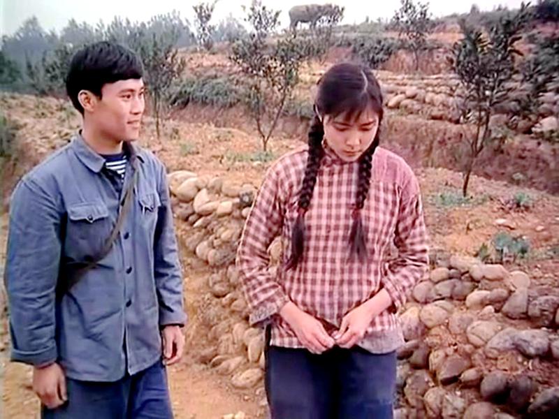 愛情電影片段,情感的視覺盛宴