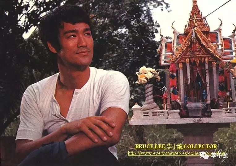 電影唐山大兄觀看指南與技能學習步驟全解析