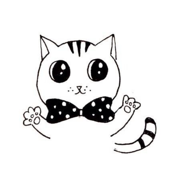 喵咪動(dòng)漫,初學(xué)者與進(jìn)階用戶(hù)的技能學(xué)習(xí)指南