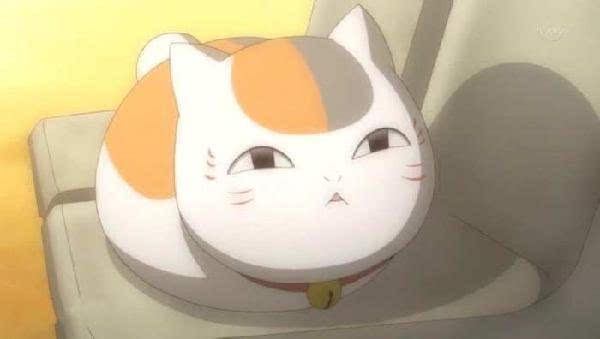 喵咪動漫,初學者與進階用戶的技能學習指南