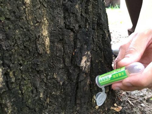 天壇生物行情深度解析,投資指南與走勢預測