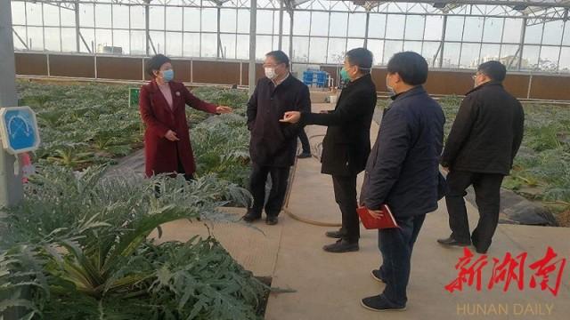 常德最新疫情動態步驟指南,初學者與進階用戶必讀