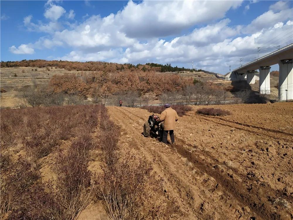 揭秘衡陽(yáng)張家山規(guī)劃更新,小巷風(fēng)情與隱藏小店的獨(dú)特魅力