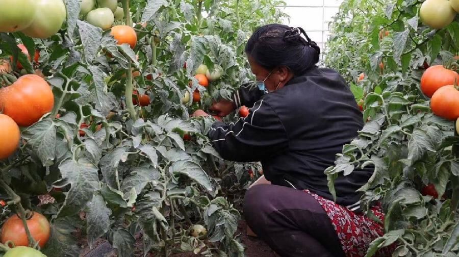 新疆喀什上市公司,學(xué)習(xí)、變革與自信的成長(zhǎng)之旅