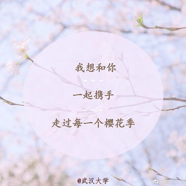 武漢大學(xué)三行情書大賽精彩回顧,浪漫愛意綻放校園