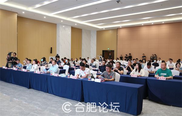 合肥新聞網最新資訊,城市發展的脈搏與熱點追蹤