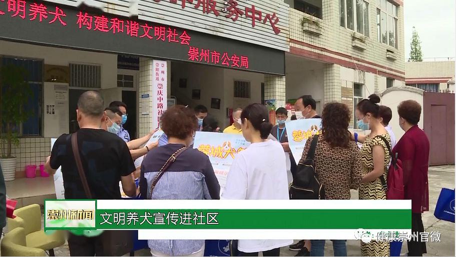 崇州任宗貴最新動態,趣事連連,情感紐帶揭秘