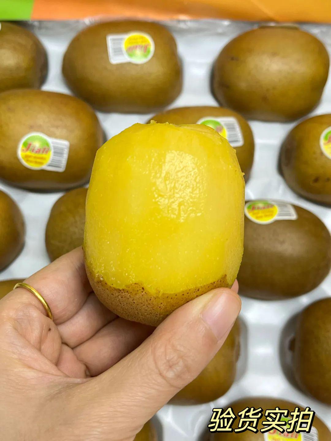 新西蘭金果上市時間解析及觀點闡述