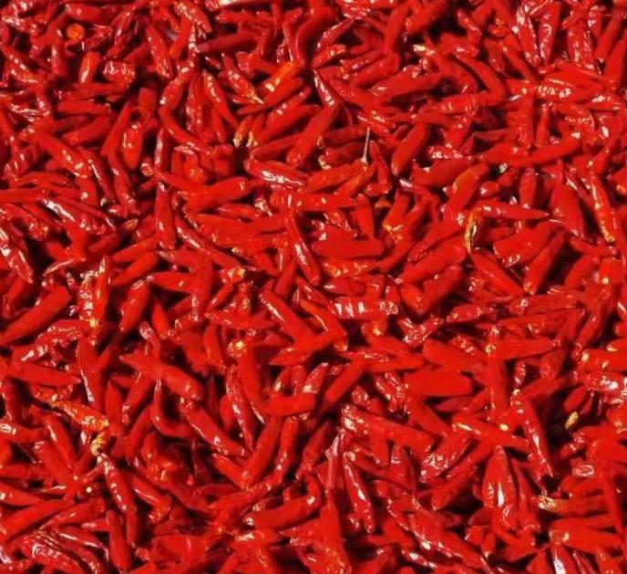 工程廠房燈具 第193頁