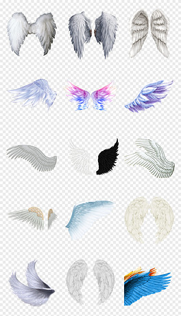 動(dòng)漫翅膀繪制指南，從白紙起步，繪出飛翔的勵(lì)志翅膀！