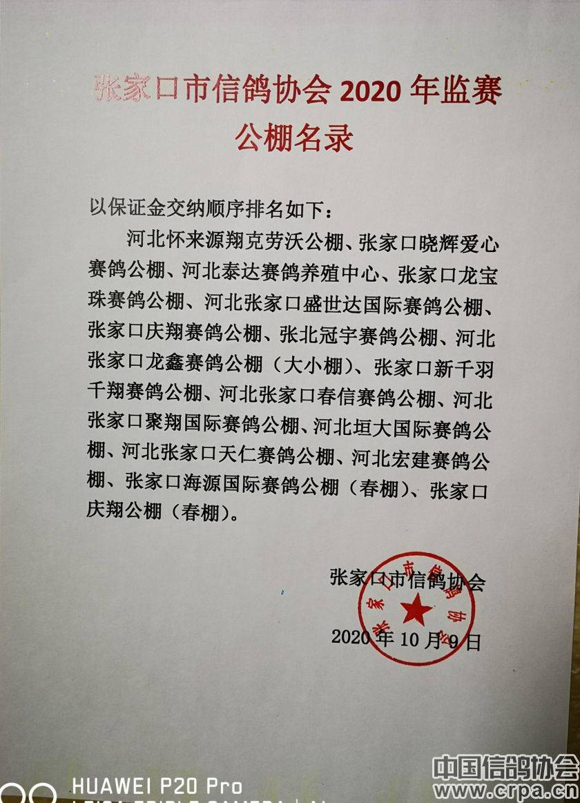 東光信鴿協(xié)會最新通告,小巷深處的獨(dú)特風(fēng)味揭秘與信鴿活動更新通知