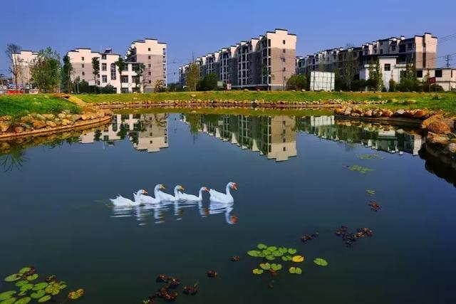 萍鄉安源湖,最新動態揭示湖畔變革與自我超越之旅