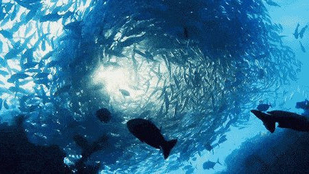 最新海洋科技動態探索自然美景之旅,追尋內心的平和與寧靜