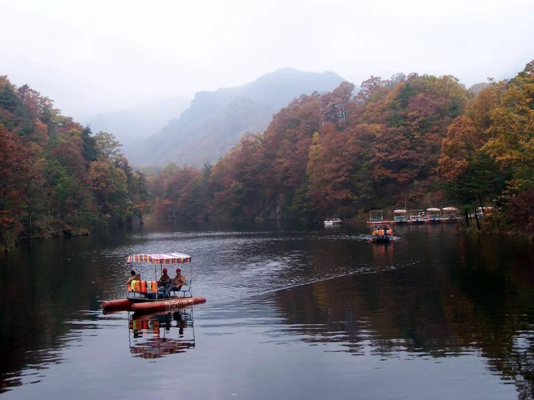 心動(dòng)瞬間,愛(ài)情與生活的美妙交匯