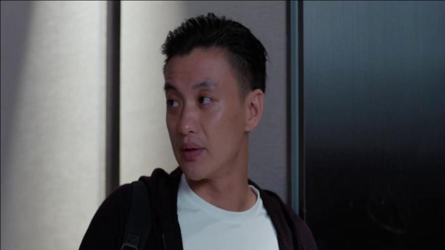 郭鑫年最新動(dòng)態(tài)揭秘，小巷特色小店探索之旅