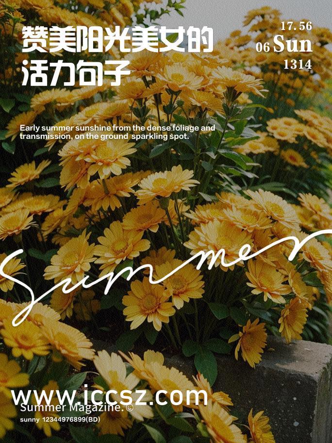 時代的印記與文化的回響,163電影的探索與影響