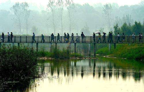 新鄉(xiāng)鳳泉湖最新動(dòng)態(tài),發(fā)展與保護(hù)的雙向思考之旅