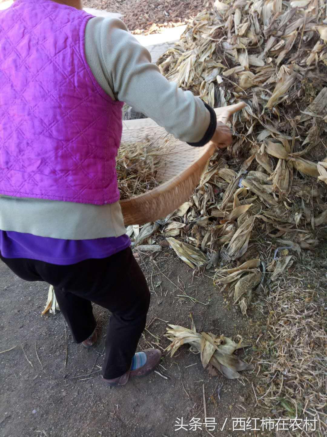 彬縣撤縣設區最新進展，最新動態更新