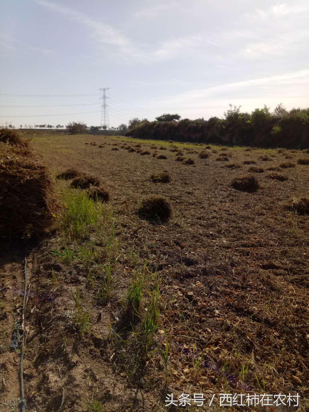 彬縣撤縣設區最新進展,最新動態更新