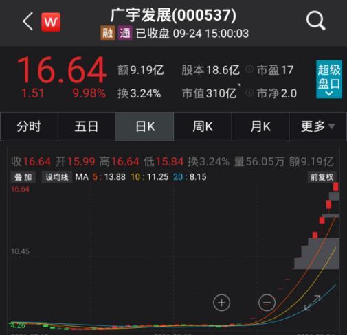 廣宇發展股票,乘風破浪,成就夢想的航標之旅